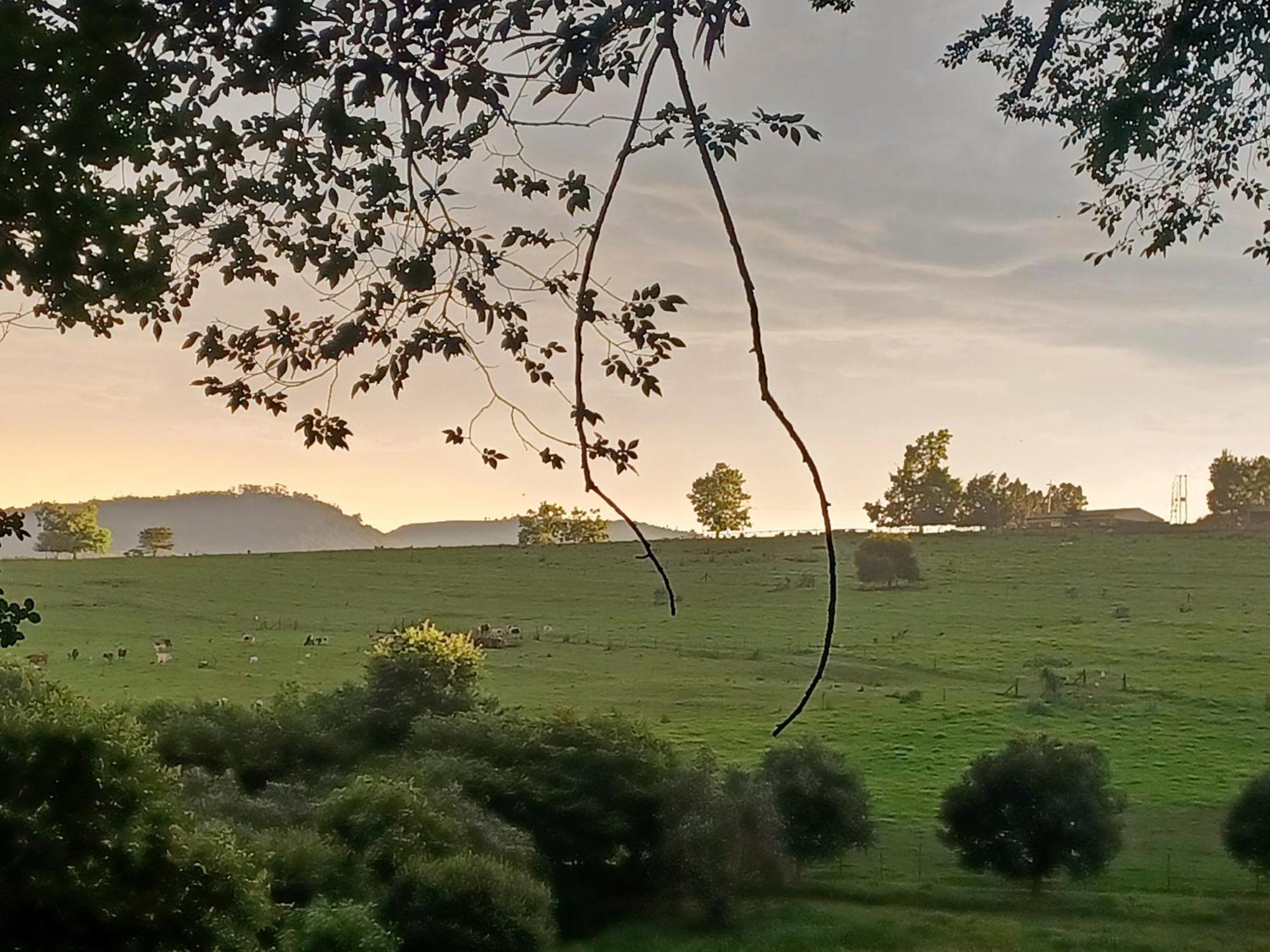 Little Fields Country House And Cottages Howick Zewnętrze zdjęcie